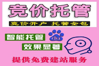 百度竞价广告投放策略及成功盈利案例