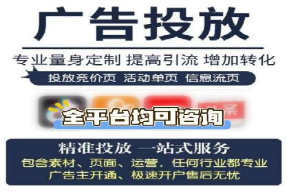 百度竞价排名服务：成功案例解析与优化策略